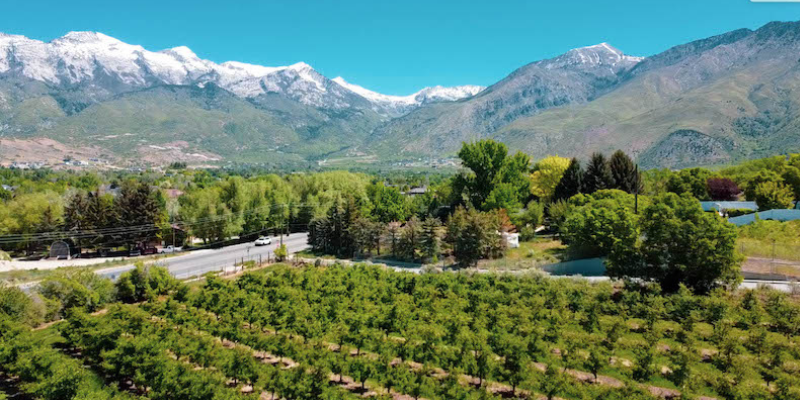 Burgess Orchards