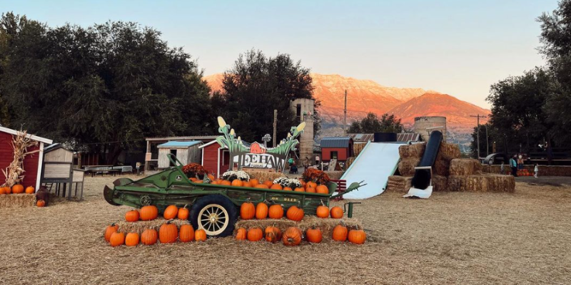 Hee Haw Farms