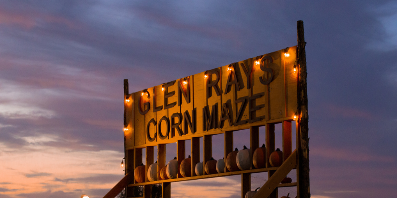 Glen Ray's Corn Maze