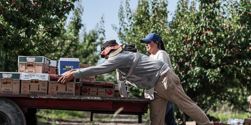Riley's Genola Orchard