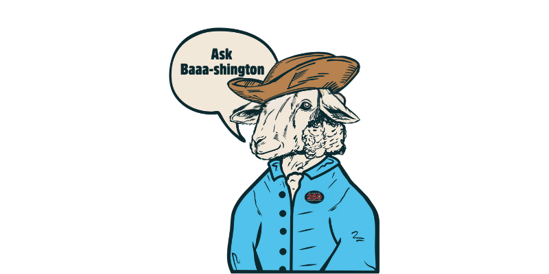 Cartoon Sheep wearing a tricorn hat in a bright blue colonial shirt.