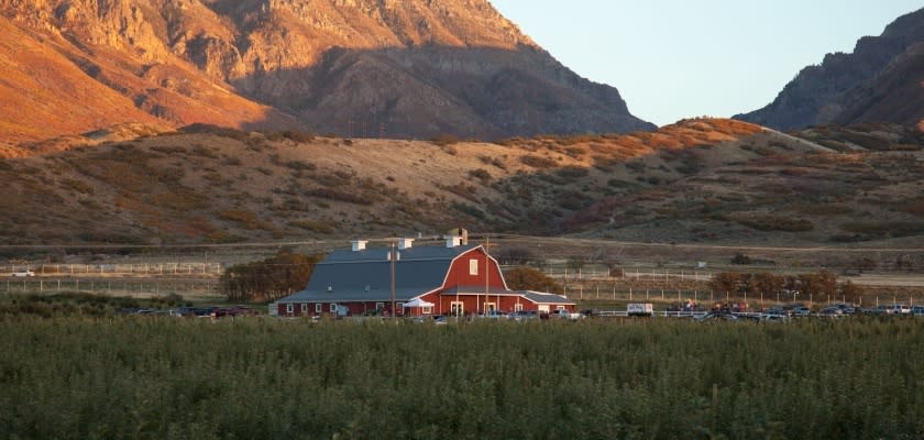 Rowley's Red Barn