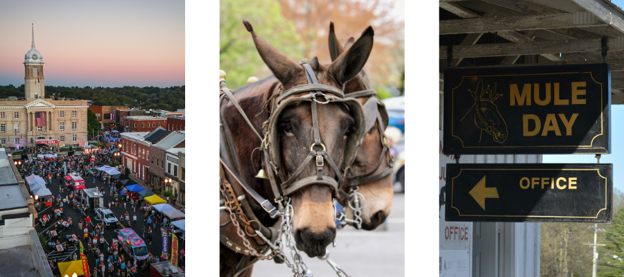 Mule Day 2026 Blog Image