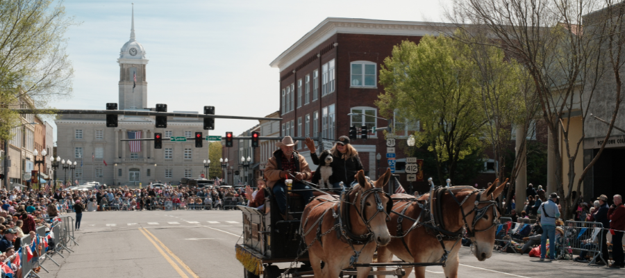 Mule Day Blog 2026 Image