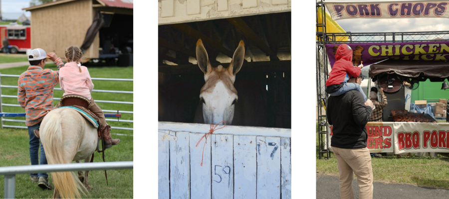 Mule Day Blog 2026 Image