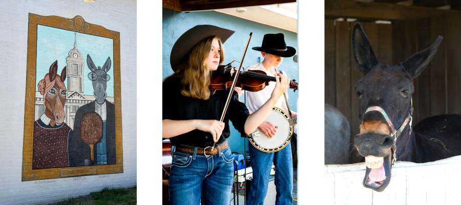 Mule Day blog 2026 Image