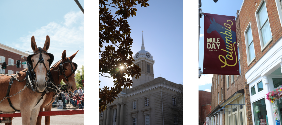 Mule Day 2026 Blog Image