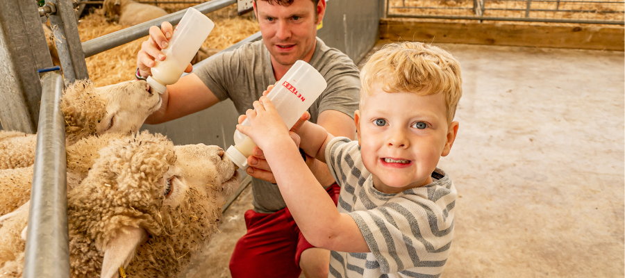 Cotswold Farm Park 