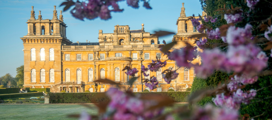 Blenheim Palace Landscape
