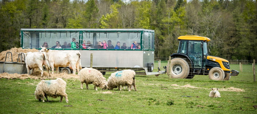 Cotswold Farm Park