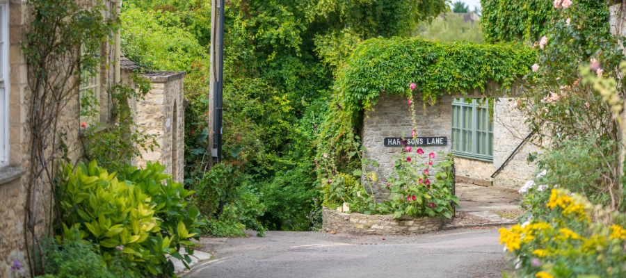Woodstock street in the summer