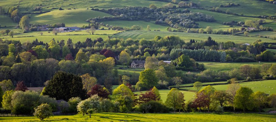 Cotswold Countryside