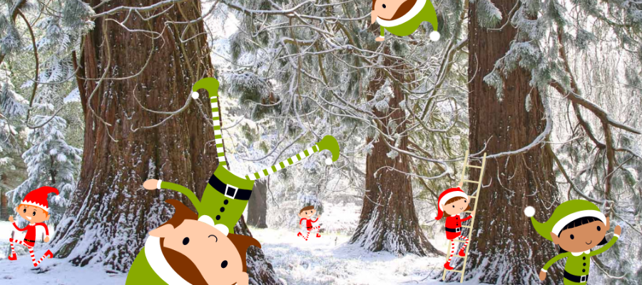 Batsford Arboretum Elf Hunt
