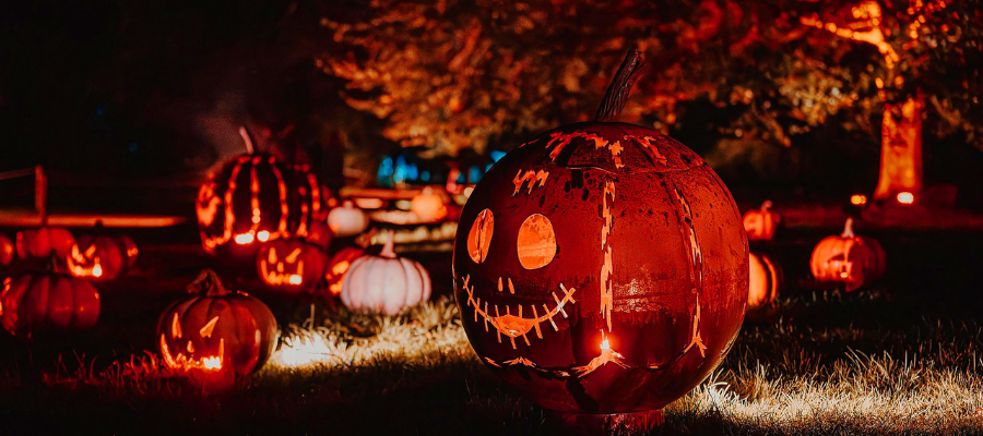 Halloween at Blenheim Castle - image is set in darkness, with orange uplighters and light orange pumpkins. The pumpkins have carved faces