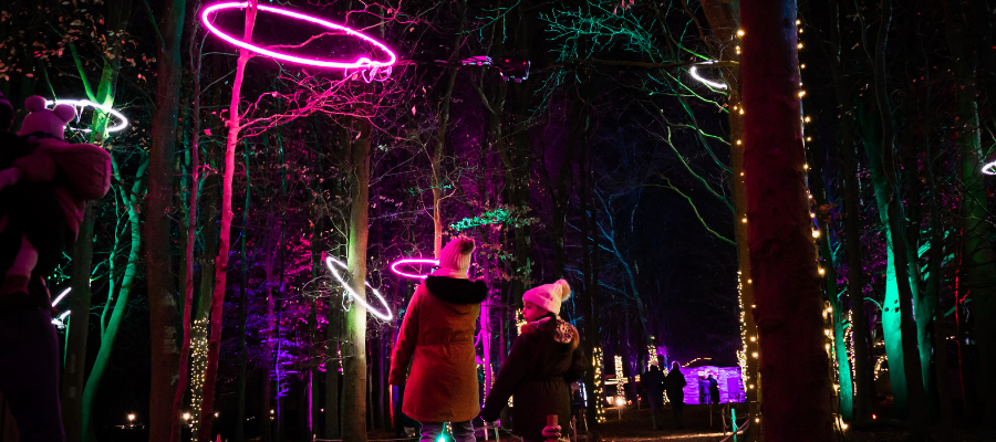 Cotswold Farm Park Enchanted Christmas Trail in The Cotswolds
