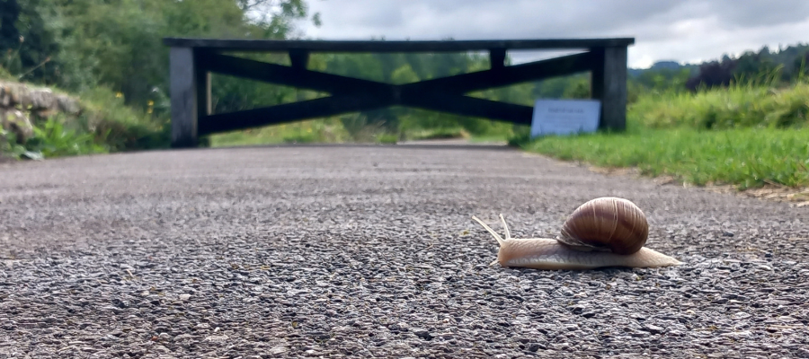 Chedworth Snail trail