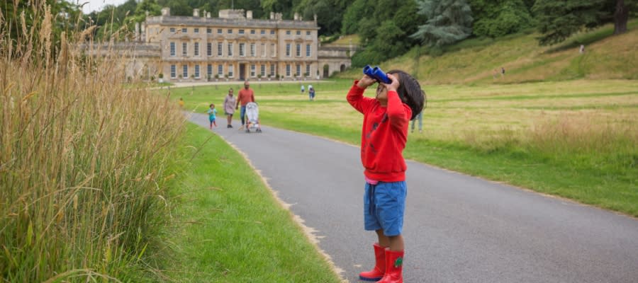 A boy looking through binoculars on the drive towards the historic house at Dyrham Park in the Cotswolds.
