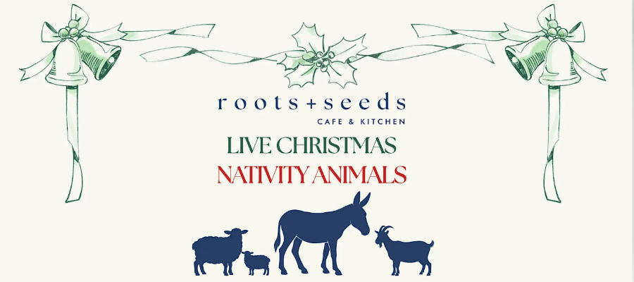 Roots and Seeds Christmas Banner