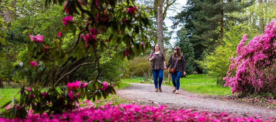 Westonbirt in spring