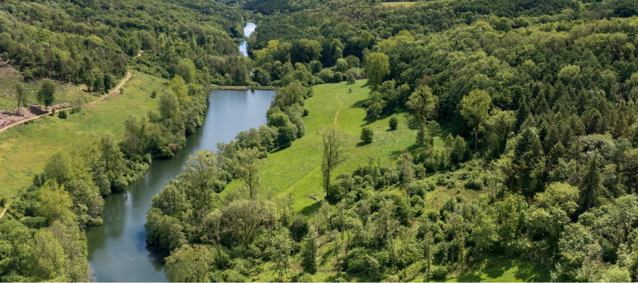 woodchester park