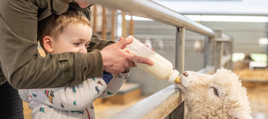 Cotswold Farm Park