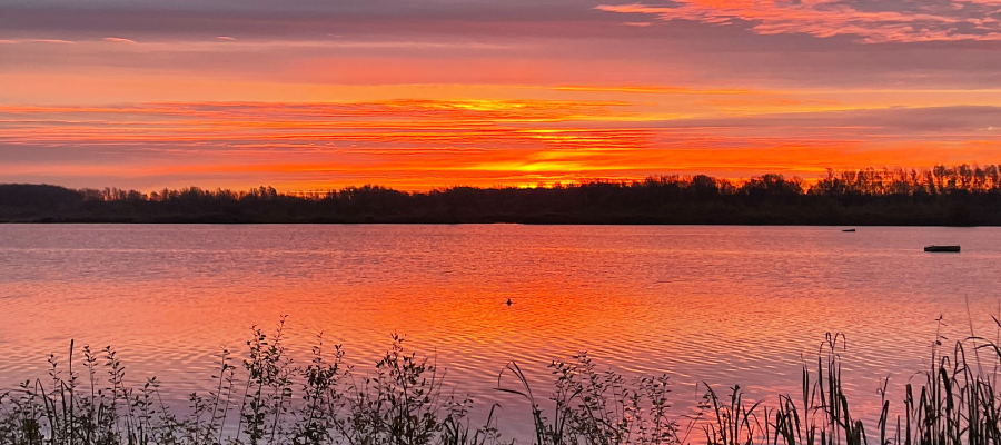 Cotswold lakes brew co