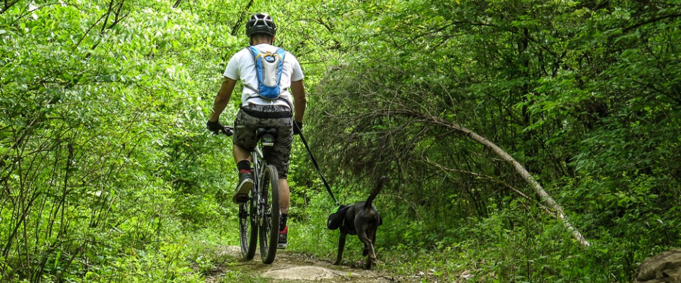 man biking with his dog on a leash in William Hastie Natural Area