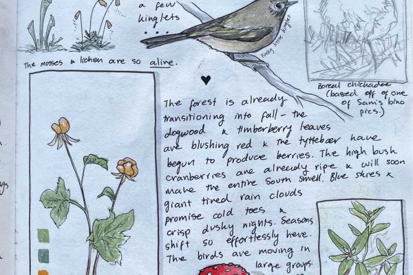 Nature Journaling Workshop