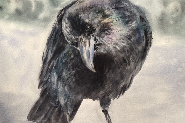 With Love, From Alaska - Phoebe Flanagan