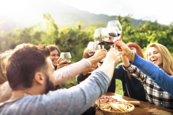 friends cheersing with wine in a vineyard