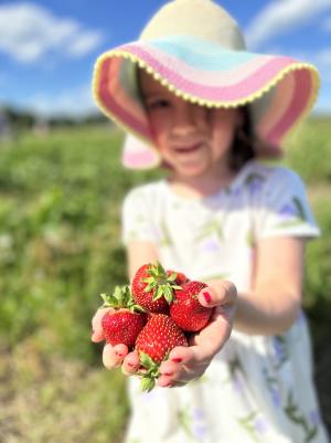 Girl in a dress and sunhat holds a handful of bright red strawberries