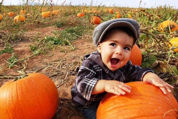 A small child climbs on a pumpkin at McCall's Pumpkin Patch