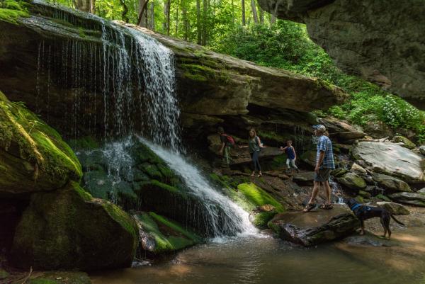 A two parents and two children explore underneath a waterfall, with their dog