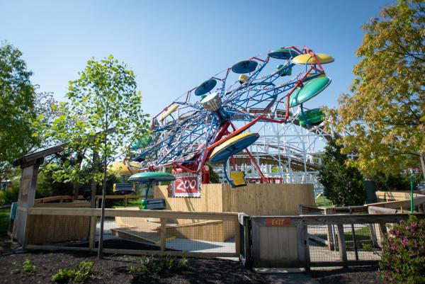 Rides at the Zoo