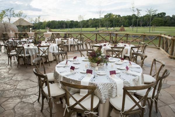 Tables set in the Heart of Africa area at the Columbus Zoo overlooking the giraffe area