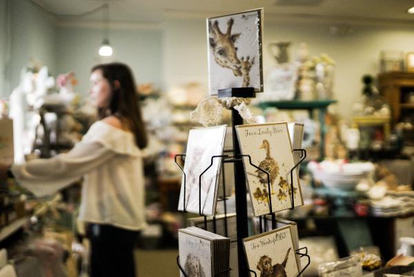 Shopping at Enchanted Forest