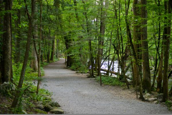 The Gatlinburg Trail