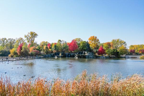 Bay Beach Wildlife sanctuary