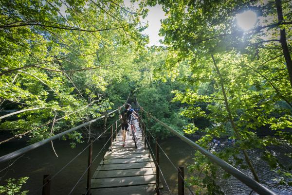 Biking 3_Patapsco State Park_Summer_CV.jpg