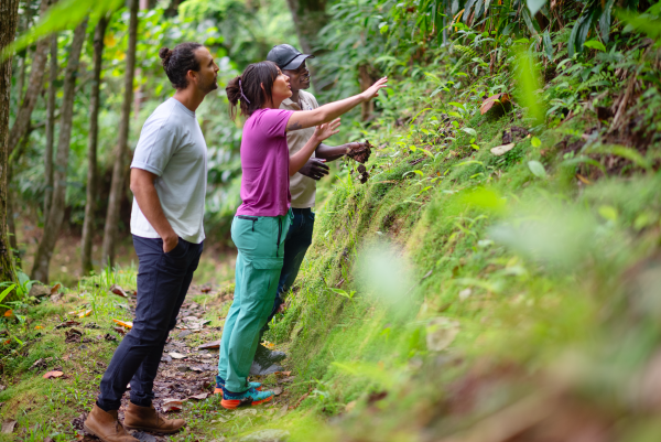 Community Tourism - Hiking at Holywell, Blue Mountains