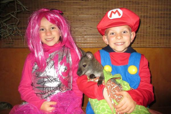 Night at the Zoo at Living Treasures Wild Animal Park