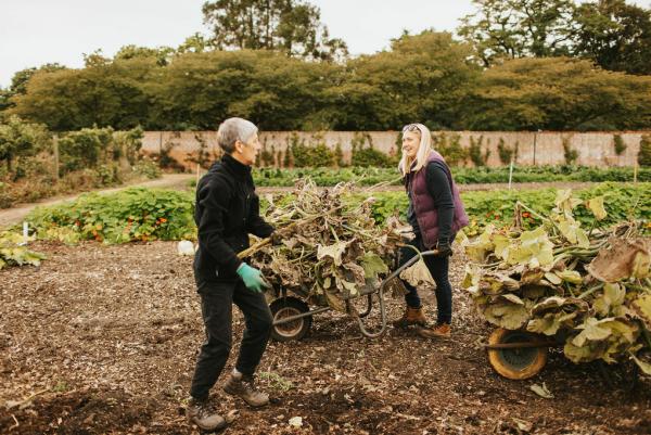 Two woman gardening a field of crops, with one pushing a wheelbarrow.