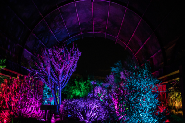 Grounds for Sculpture Dream loop array of colors at night