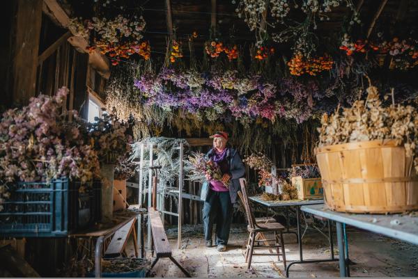 Forest Glen Herb Farm: Herb and Dried Flower Bouquet Experience 2