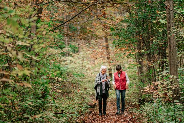 middlesex in the fall