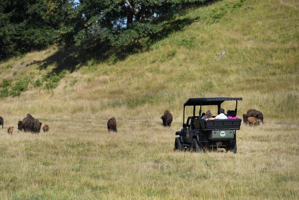 Keeper Adventure Tour at Northwest Trek