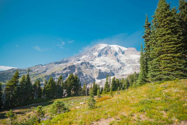 mount rainier campsite