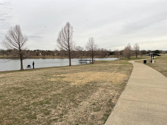 Park with pond and grass