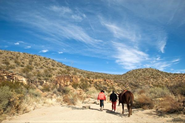 Horseback riding