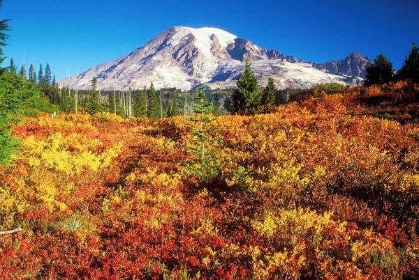 fall mt rainier national park